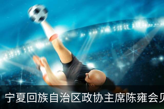宁夏回族自治区政协主席陈雍会见中国足协主席宋凯